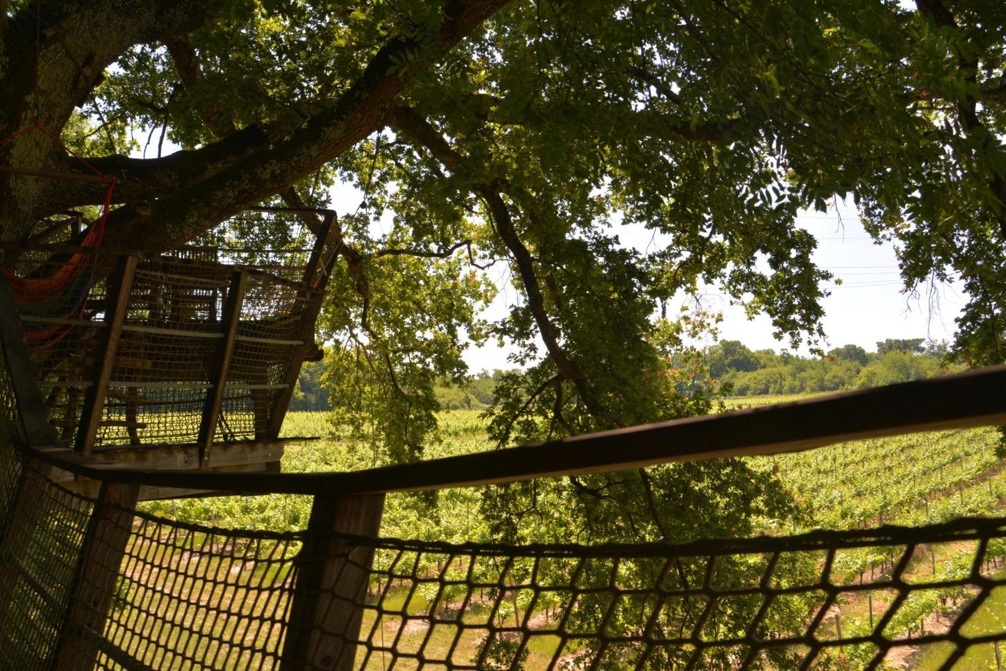 Cabanes De La Romaningue Pompignac Экстерьер фото